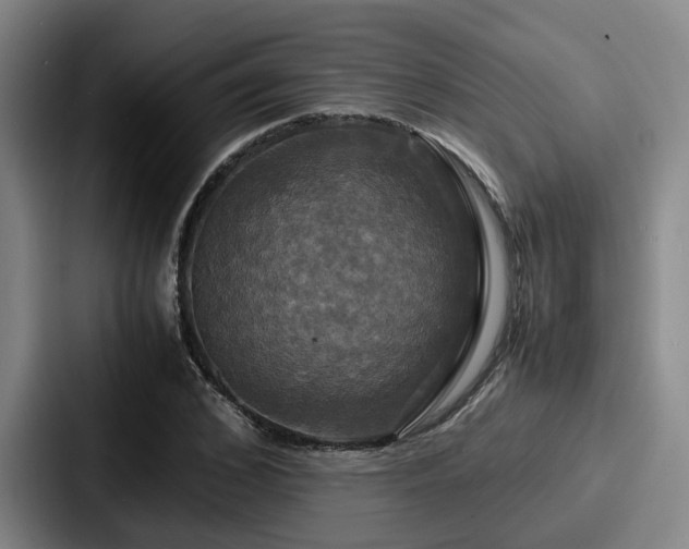 X0000087710976200705111418