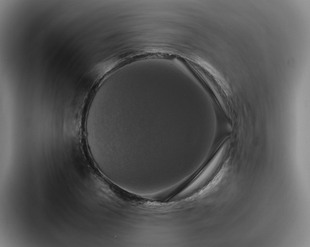 X0000087710977200705111418