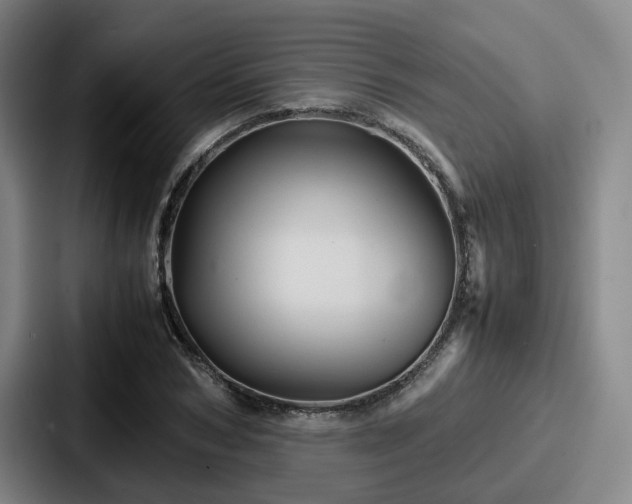 X0000087710978200705111418