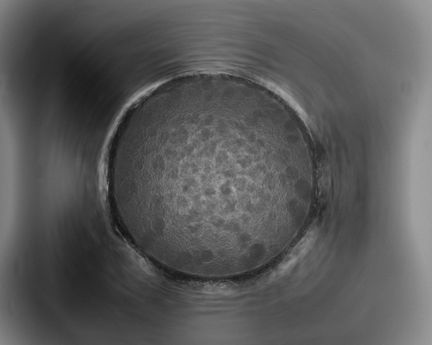 X0000087710979200705111418