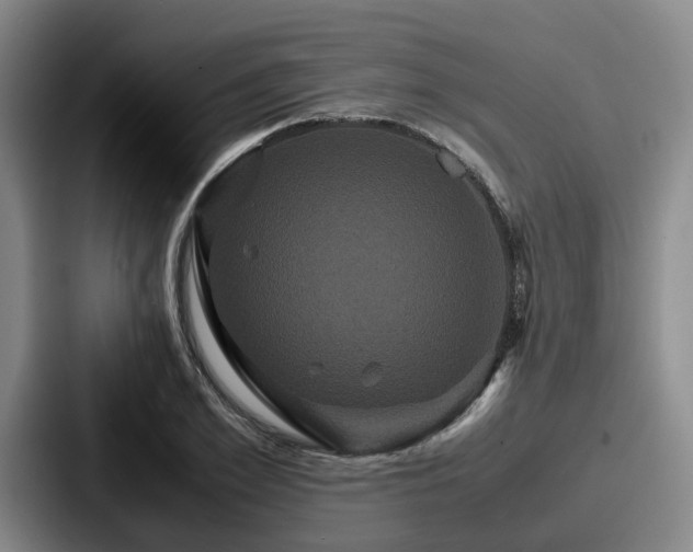 X0000087710981200705111418