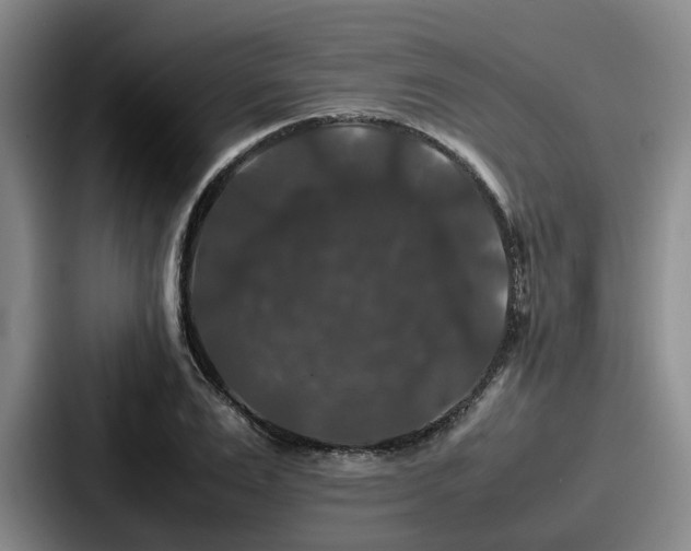 X0000087710983200705111418