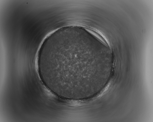 X0000087710987200705111418