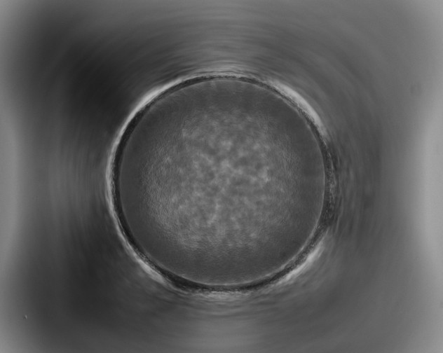 X0000087710989200705111418