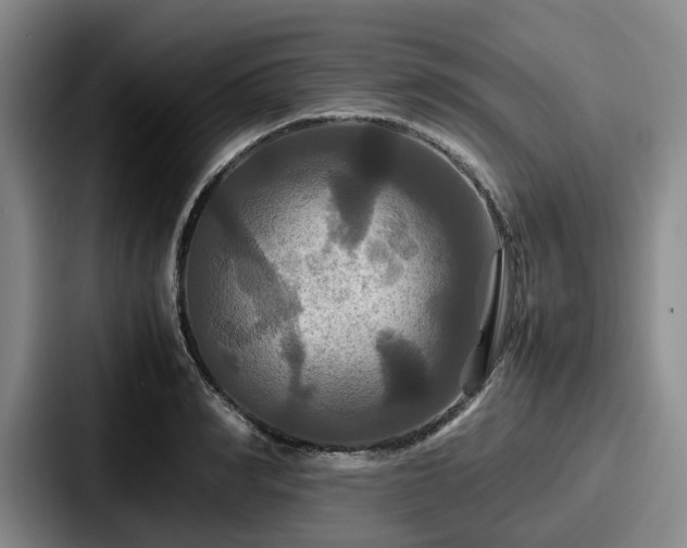 X0000087710990200705111418