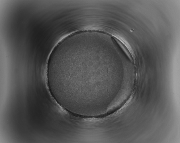 X0000087710992200705111418