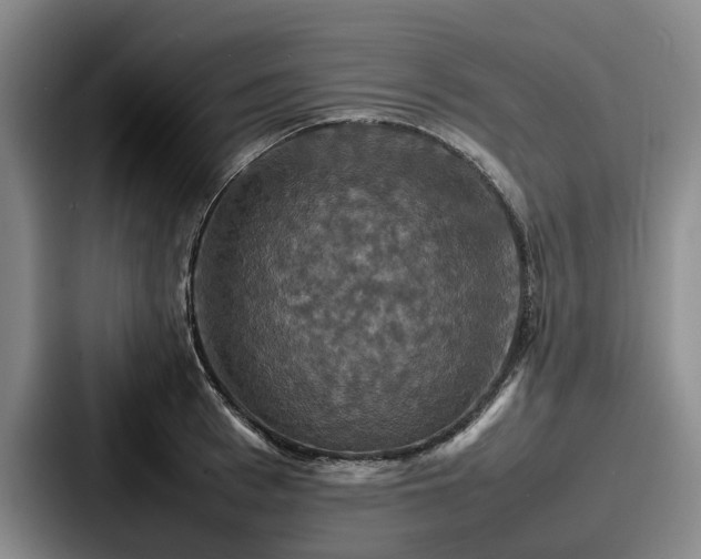 X0000087710993200705111418
