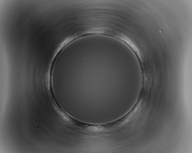 X0000087710994200705111418