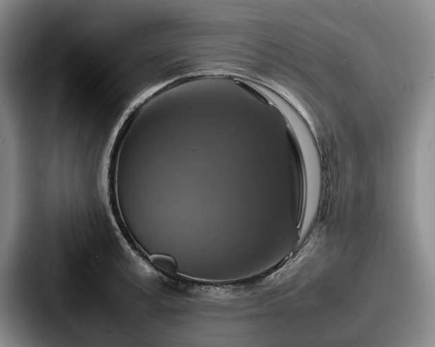 X0000087710995200705111418