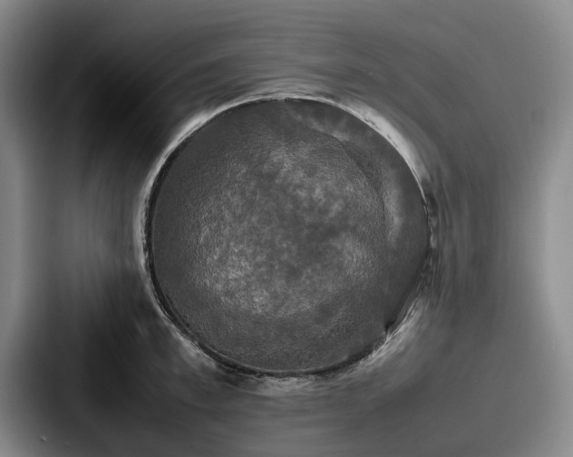 X0000087710997200705111418