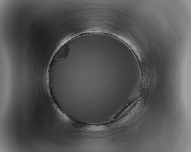 X0000087710998200705111418