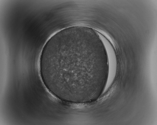X0000087710999200705111418
