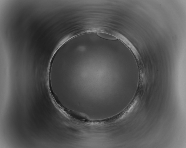 X0000087711002200705111418