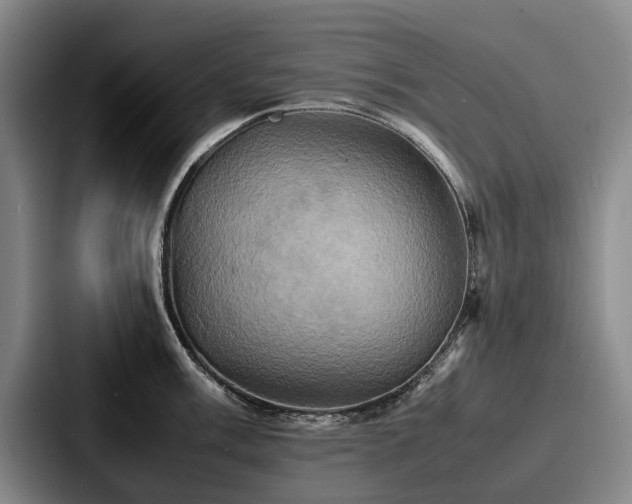 X0000087711003200705111418
