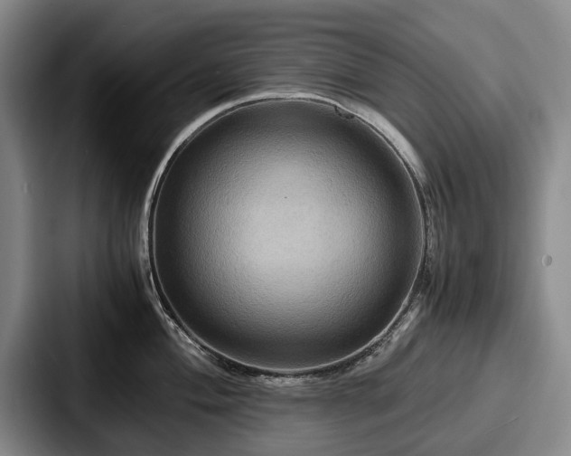 X0000087711004200705111418