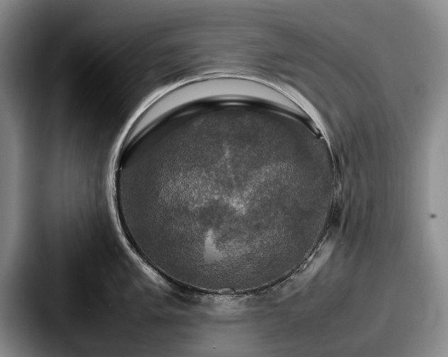 X0000087711005200705111418