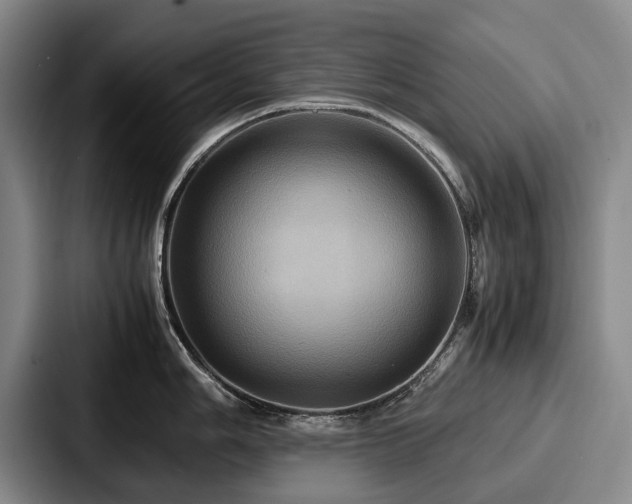 X0000087711006200705111418