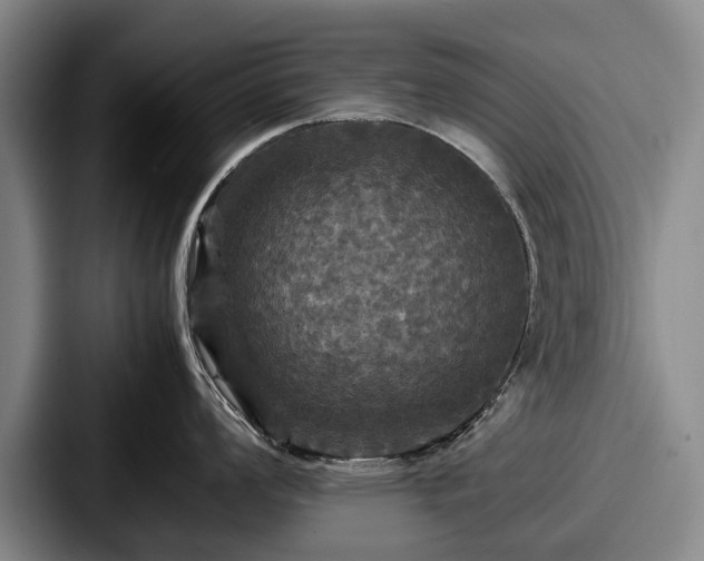 X0000087711008200705111418