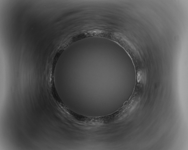 X0000087711011200705111417