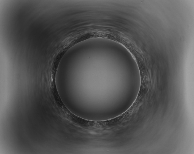 X0000087711013200705111417