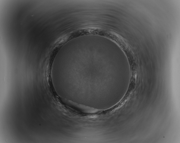 X0000087711014200705111417