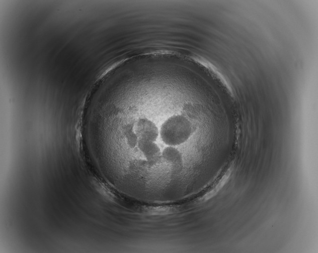X0000087711017200705111417
