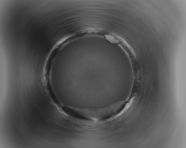 X0000087711018200705111417