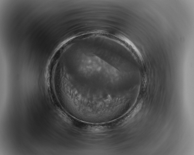 X0000087711019200705111417