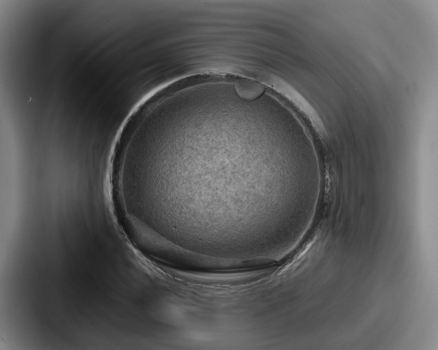 X0000087711020200705111417