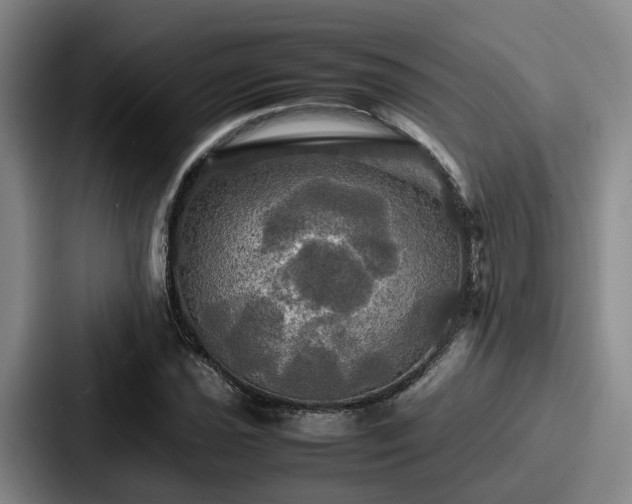 X0000087711021200705111417