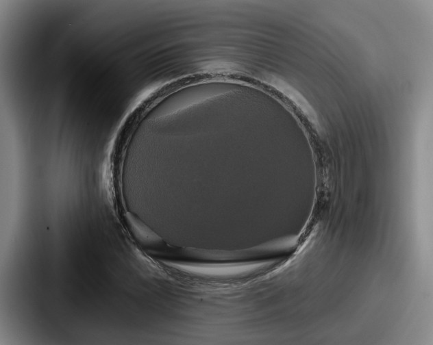 X0000087711022200705111417