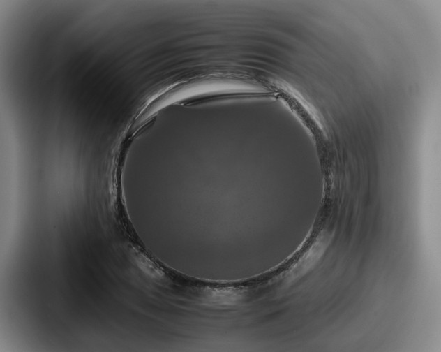 X0000087711025200705111417