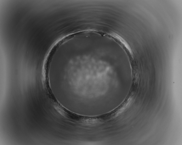 X0000087711027200705111417