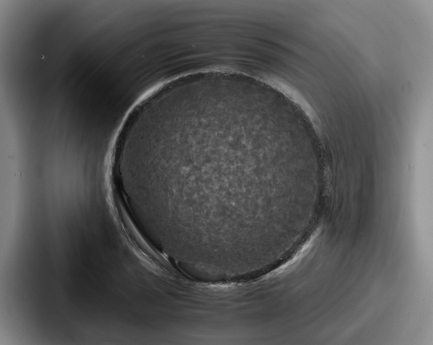 X0000087711029200705111417