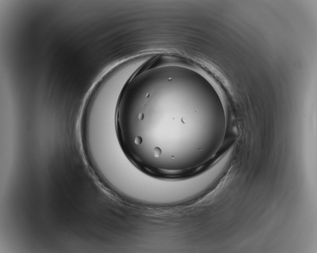 X0000087711030200705111417