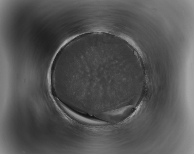 X0000087711032200705111417