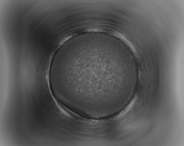 X0000087711033200705111417