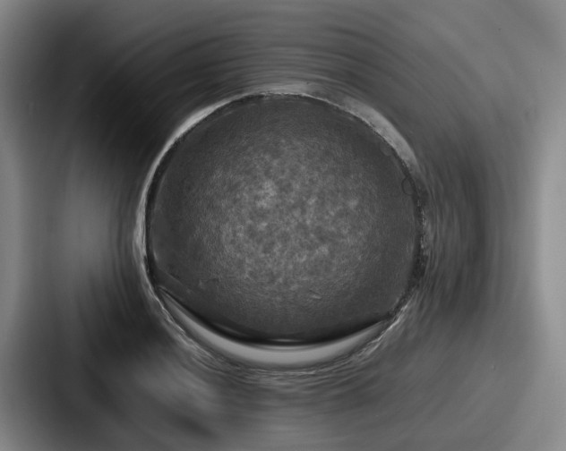 X0000087711036200705111417
