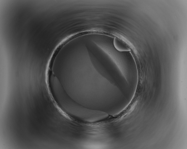 X0000087711037200705111417