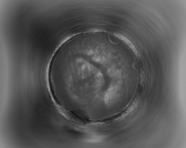 X0000087711039200705111417