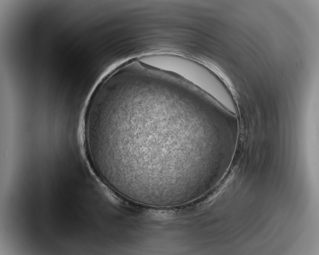 X0000087711040200705111417