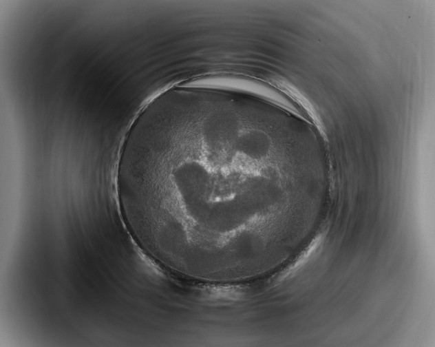 X0000087711041200705111417
