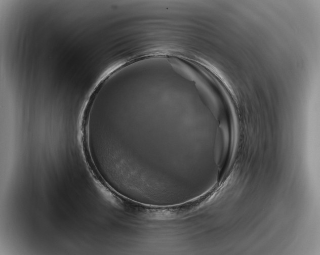 X0000087711042200705111417
