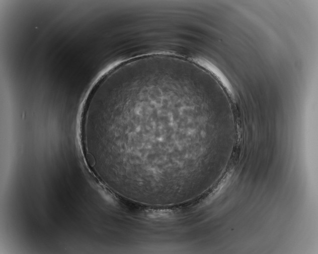 X0000087711043200705111417