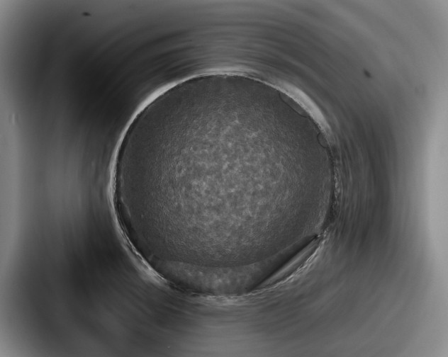 X0000087711044200705111417