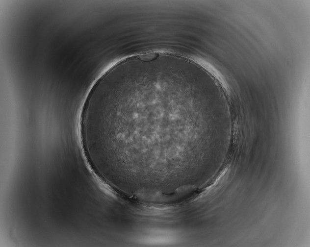 X0000087711047200705111417