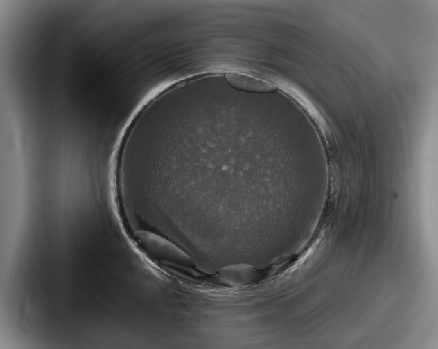 X0000087711048200705111417