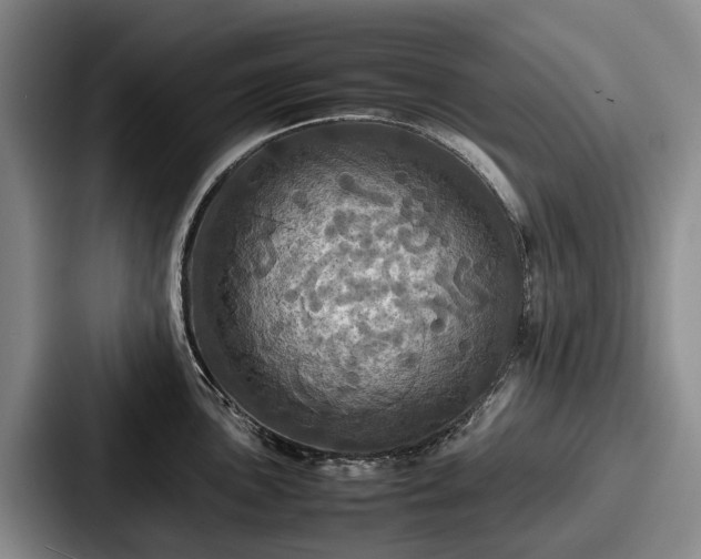 X0000087711051200705111417