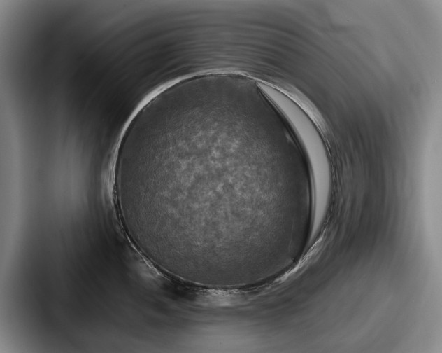 X0000087711052200705111417