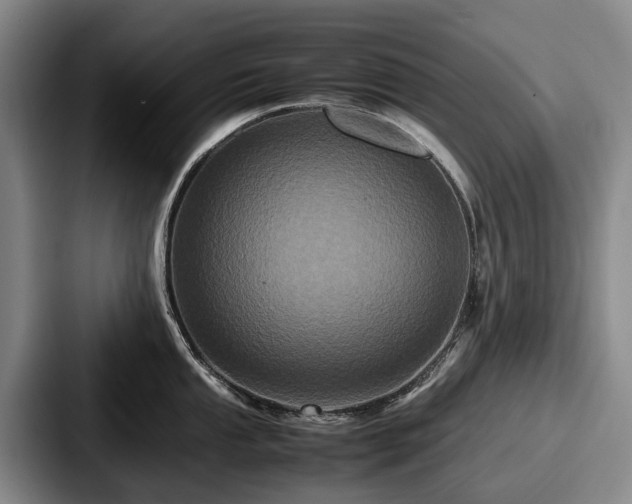 X0000087711053200705111418